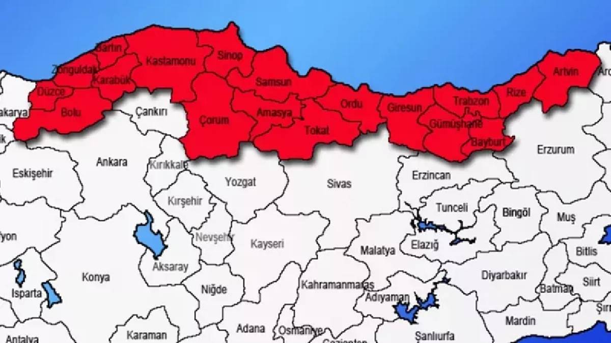 Uzmanlar "Acil önlem alınmalı” diyerek duyurdu! Samsun, Trabzon, Giresun... Evlere kadar ulaştılar: Herkes tetikte bekliyor