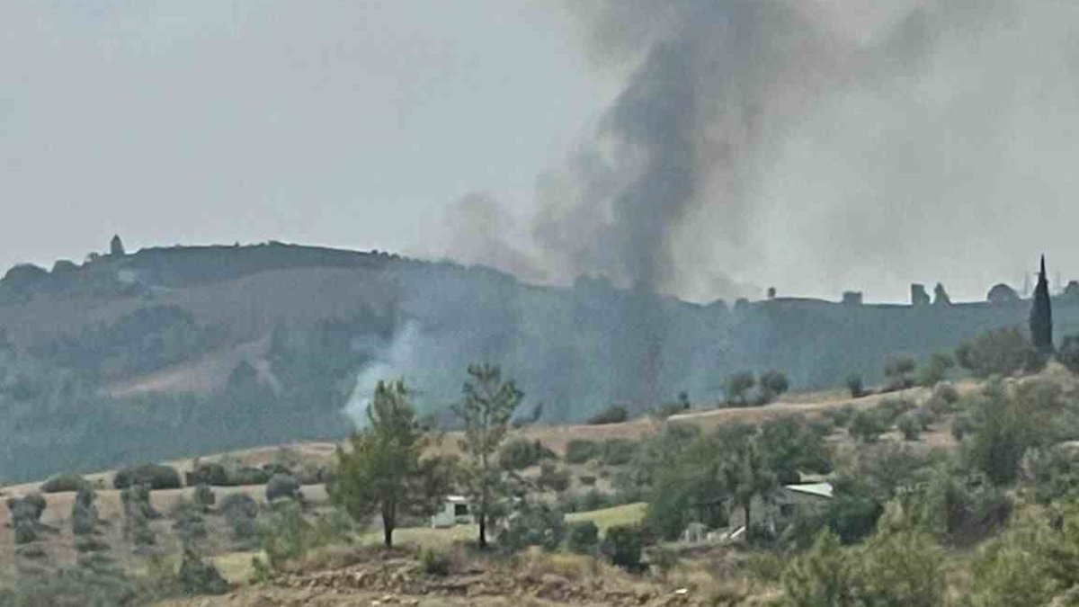 Adana'nın Kozan ilçesinde alevler yükseldi: Yangın kontrol altında