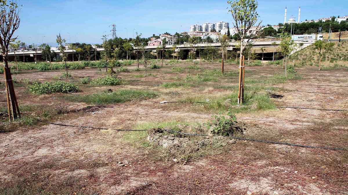 Su tasarrufu yüzde 40'a ulaştı, belediye bütçesine 2,1 milyon lira katkı sağlandı