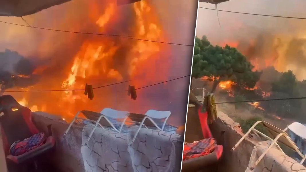 İstanbul’da korkutan alevler: Orman yangını kontrol altına alındı