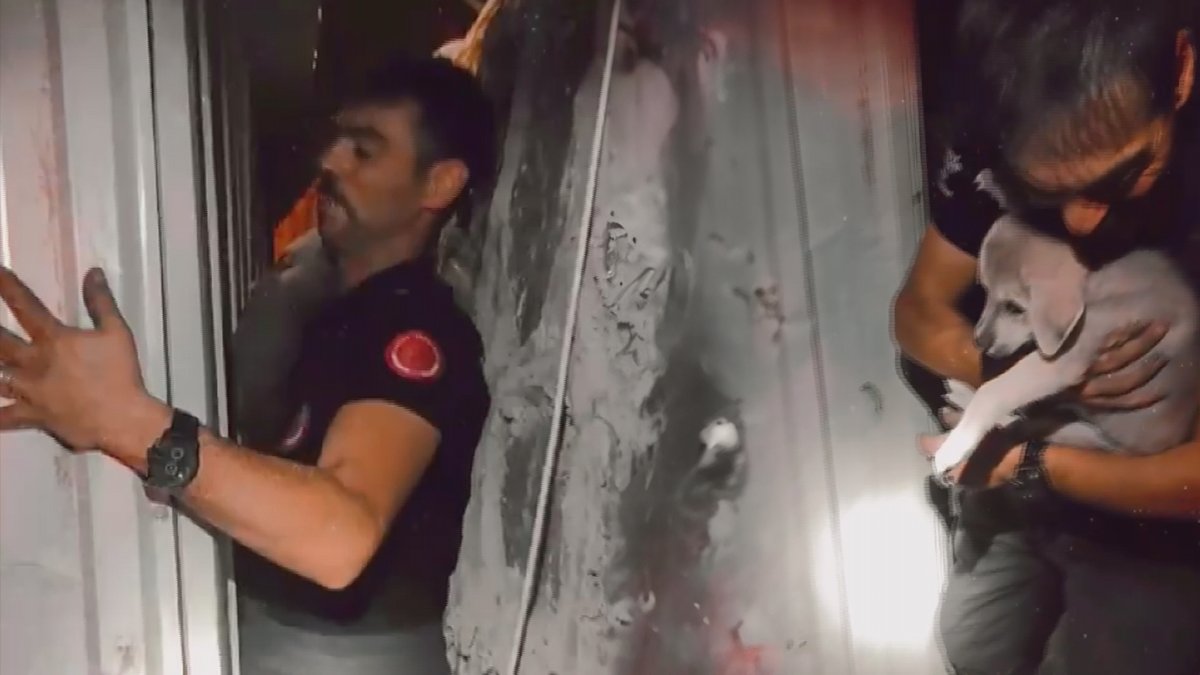 Duvar ile konteynerin arasına sıkışmıştı! İtfaiye ekipleri yavru köpeğin yardımına koştu