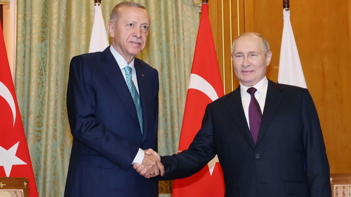 Soçi'de 'tahıl anlaşması' zirvesi: Erdoğan BM çalışmasını, Putin yaptırımları işaret etti