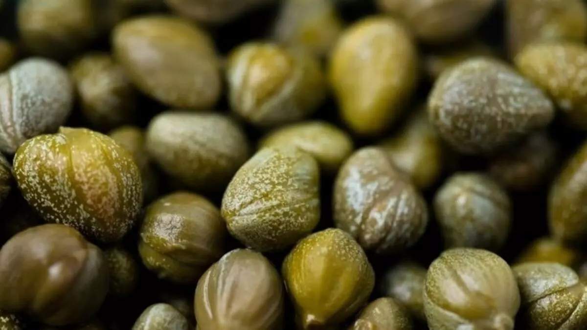 Türkiye'nin her yerinde yetişiyor ama adını bilen yok! Sümerlerden bu yana kullanılan doğal ilaç: Tüm hastalıklara şifa