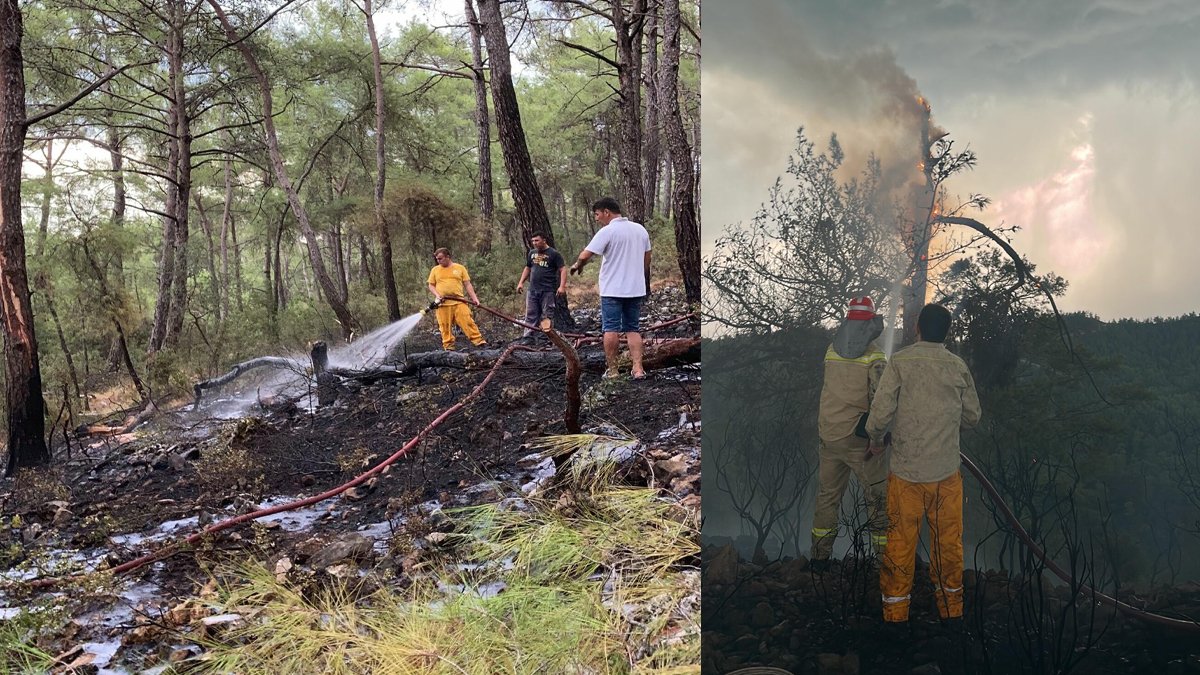 1 günde 36 yangın! Muğla'da yıldırım kabusu