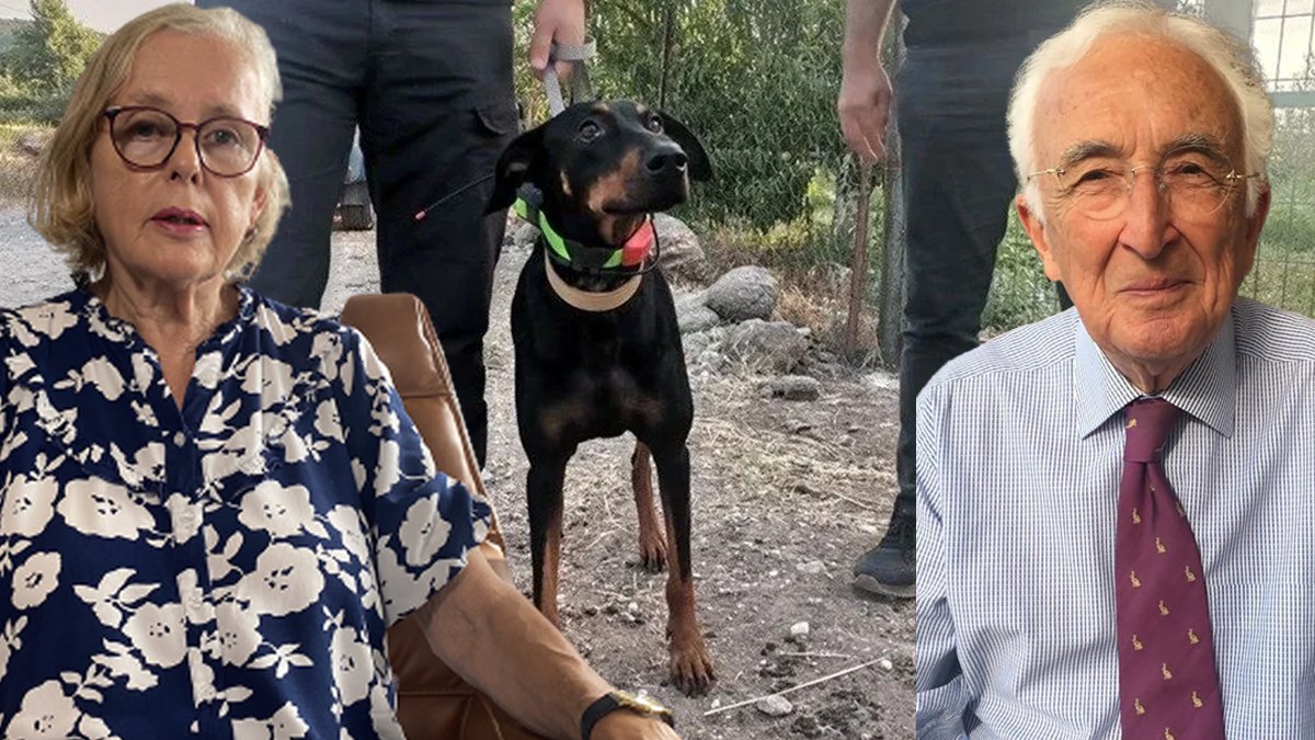 Kayıp ekonomist Berzeg'in eşinden yeni açıklama: Tina'da bir değişim var