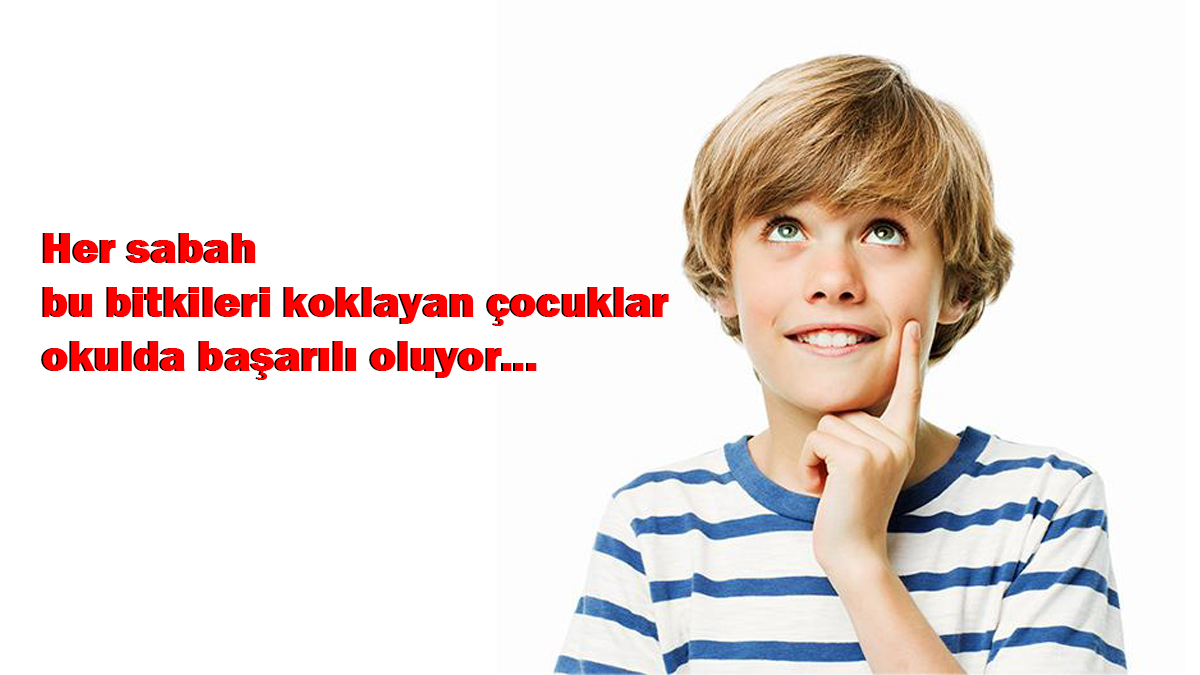 Sabahları çocuğunuza bu bitkiyi koklatın sınavdan 100 alsın! Herkes size sırrınızı soracak ama... Koklayan hiçbir şeyi unutmuyor