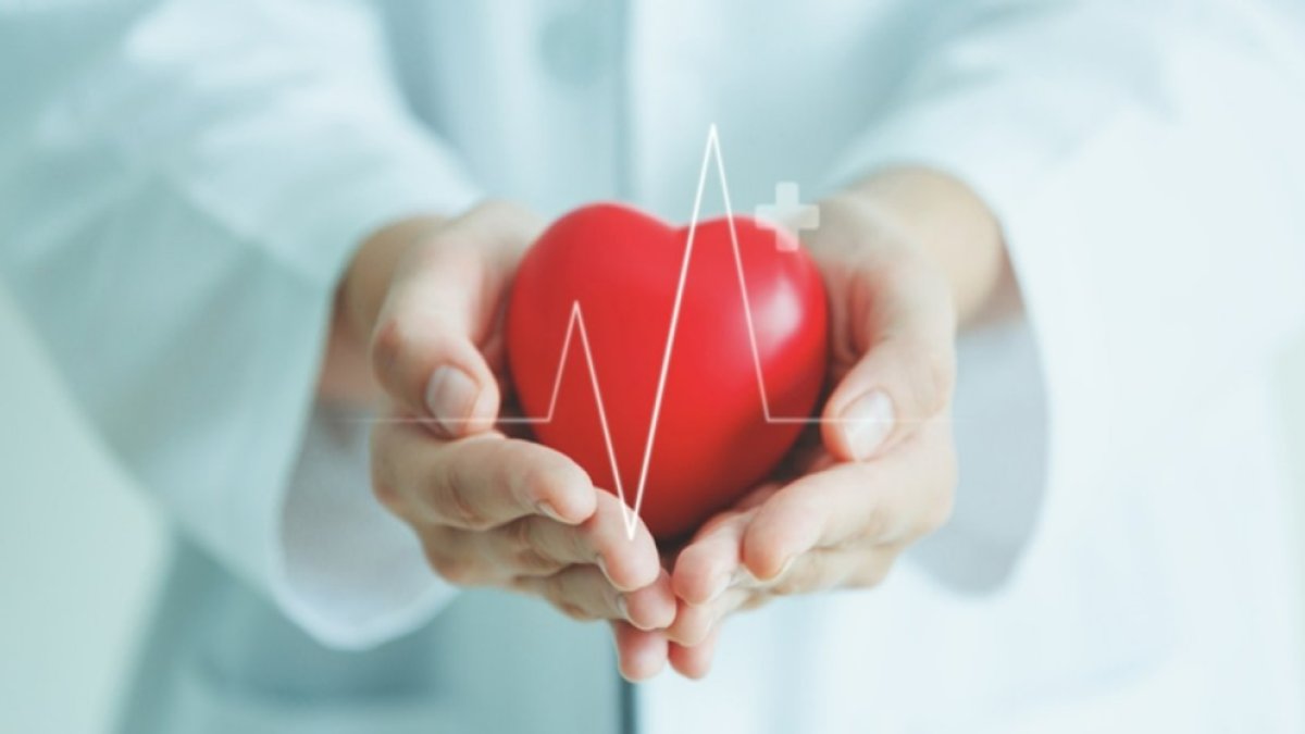 0 Rh Pozitif Kan Grubu Özellikleri: Sağlık ve Bağışıklık Üzerinde Etkileri