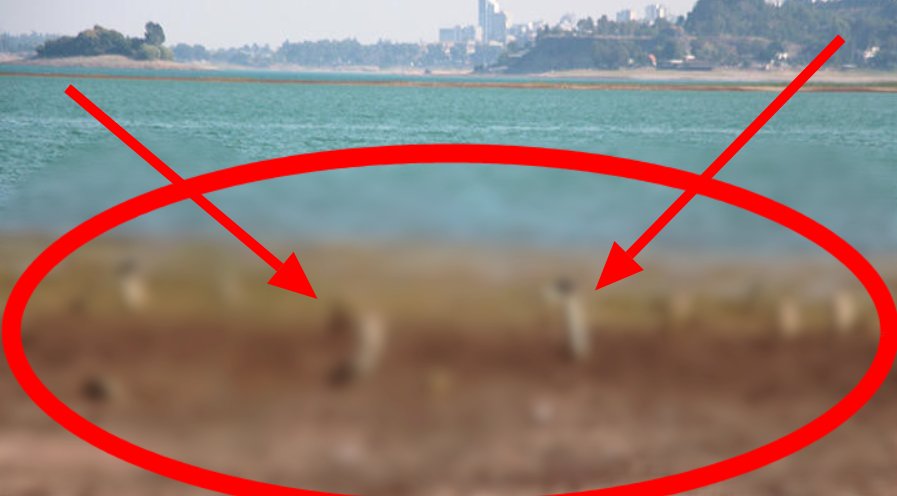 Kuraklık Türkiye'yi fena vurdu! Suların çekilmesiyle birlikte ortaya çıktılar! Tam 153 yıllık...