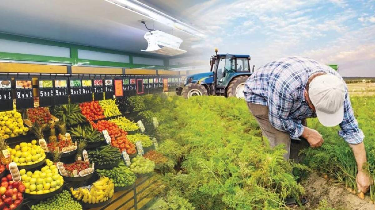 Çiftçinin emekleri çöp oldu, satıcının cebi doldu! Üretici ve satıcı arasındaki fiyat farkı yüzde 450'ye ulaştı