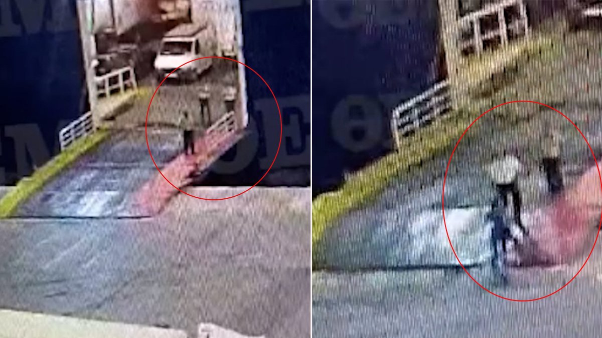 Yunanistan'da göz göre göre facia: Feribota son anda bindi görevli ölüme itti