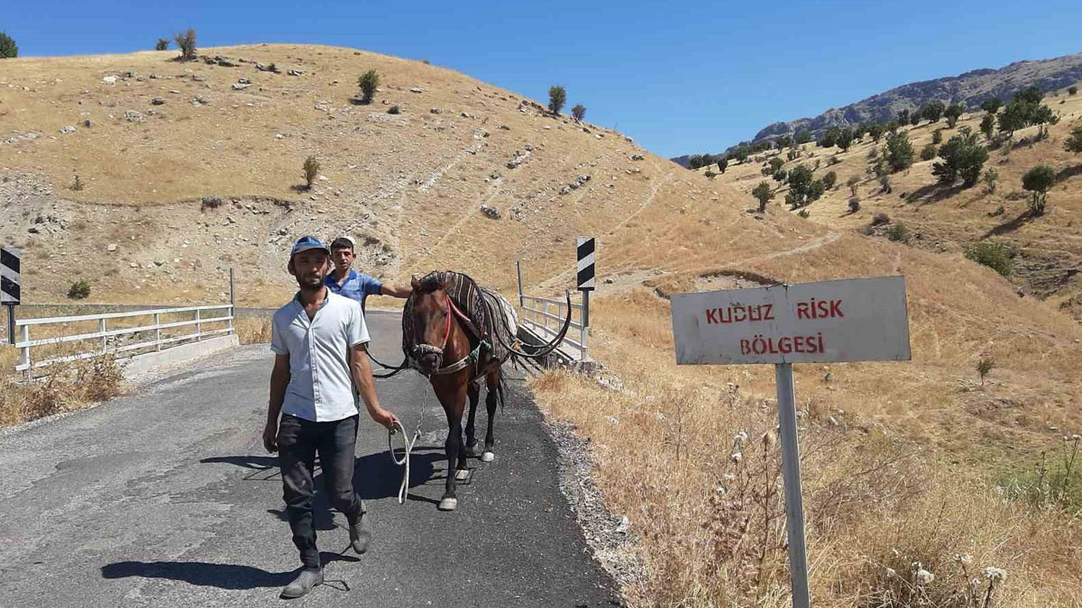Adıyaman'da 'kuduz at' paniği: Köy 6 ay karantinaya alındı