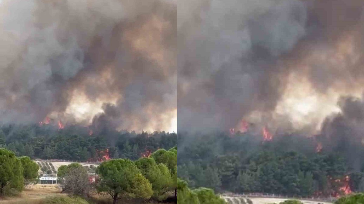 Yangınlar bitmek bilmiyor... 4 il alevlere teslim