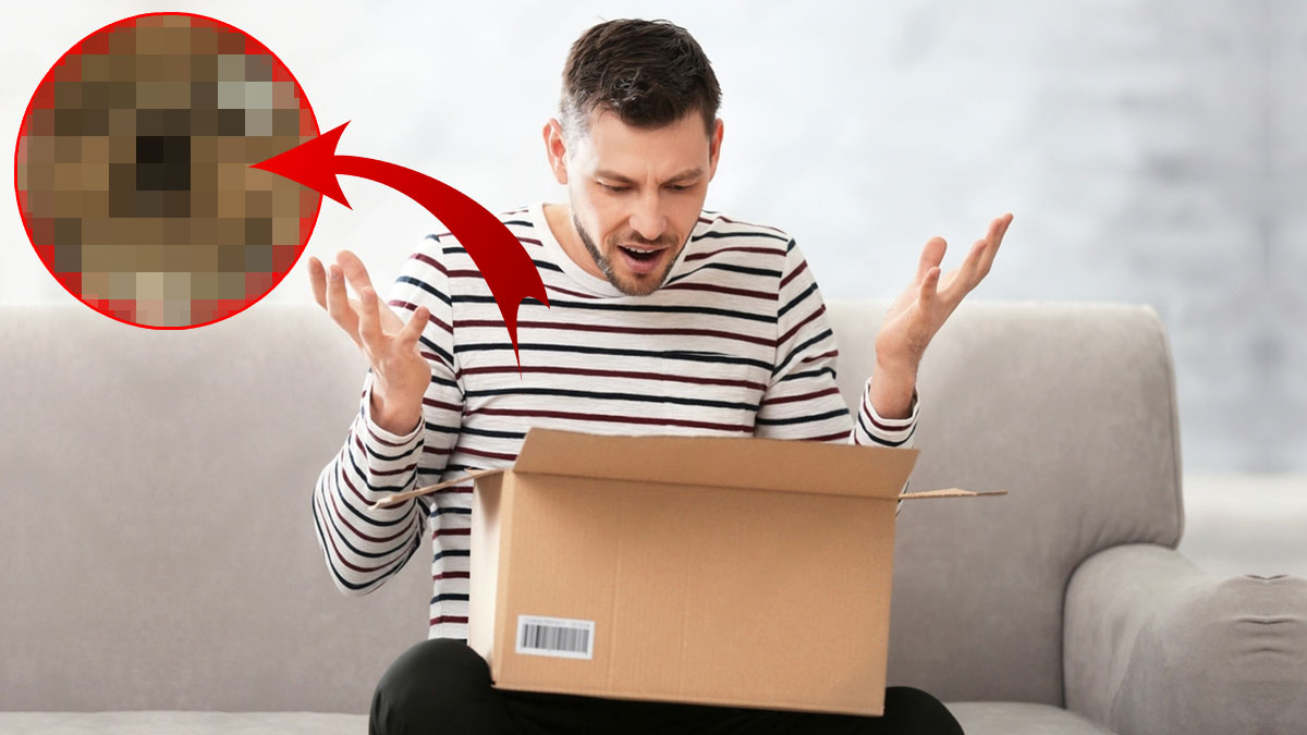 Bağış kutusunu açınca gözlerine inanamadı, az kalsın kusuyordu! Hemen polis çağırıp teslim ettiler