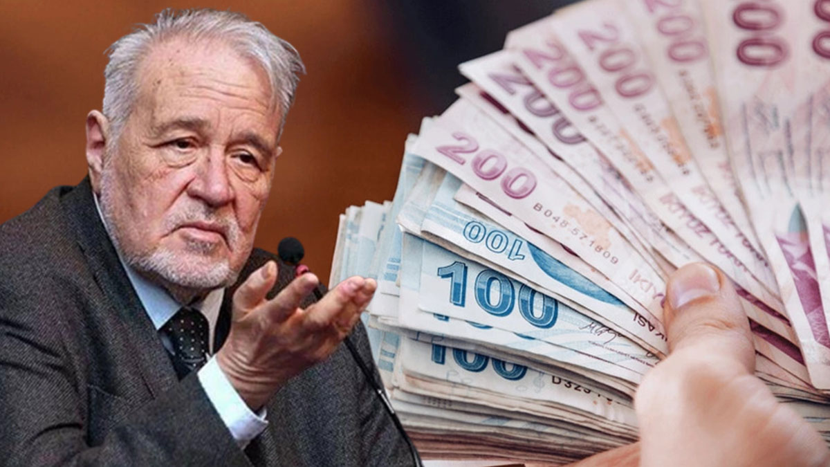 İlber Ortaylı'dan 'asgari ücret' önerisi: Yasak olmalı! Sosyal medyada gündem oldu