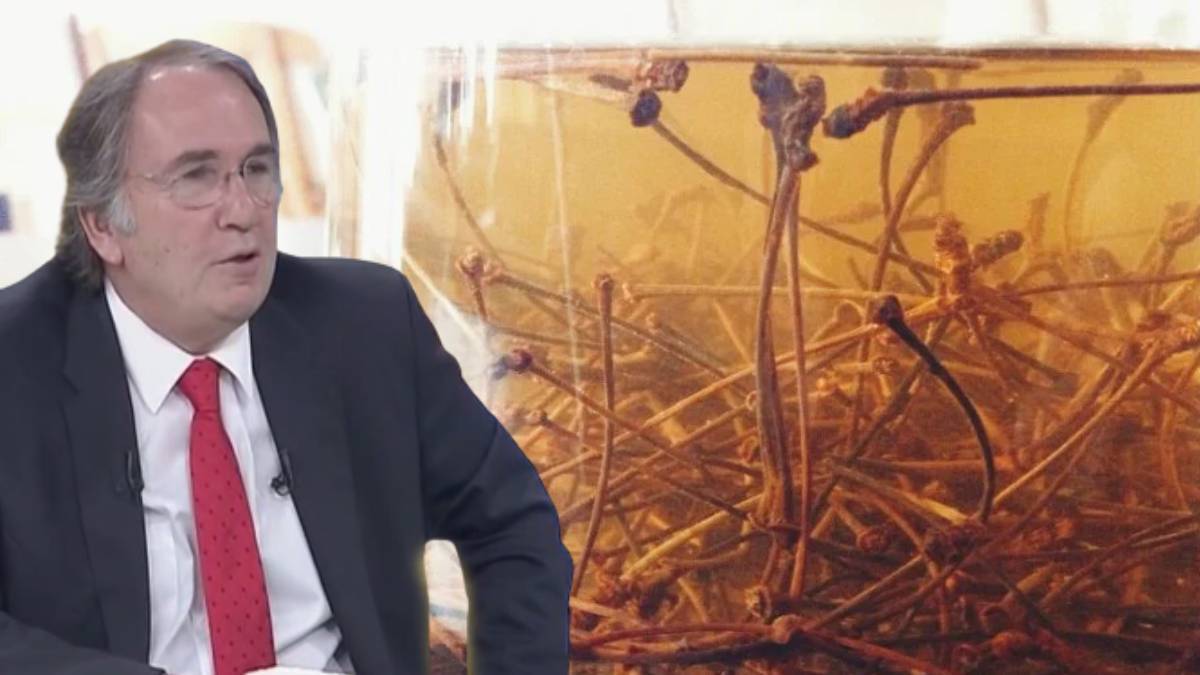 Kilo sandığınız ödem olabilir! İbrahim Saraçoğlu'nun bu kürüyle M bedene kadar düşeceksiniz