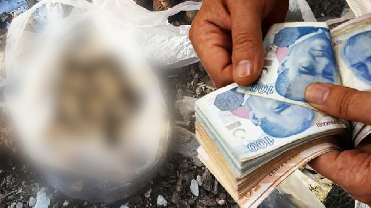 Sermayesiz üretiyor, dünyanın parasını kazanıyor! Kilosu 300, kurutulmuşu 2.500 TL, duyanlar başka şehirlerden almaya geliyor