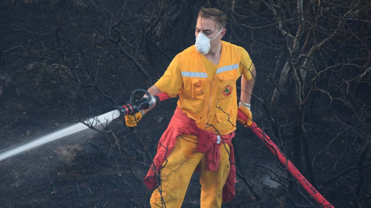 İki ilde ormanlar adeta küle döndü: Muğla kontrol altında