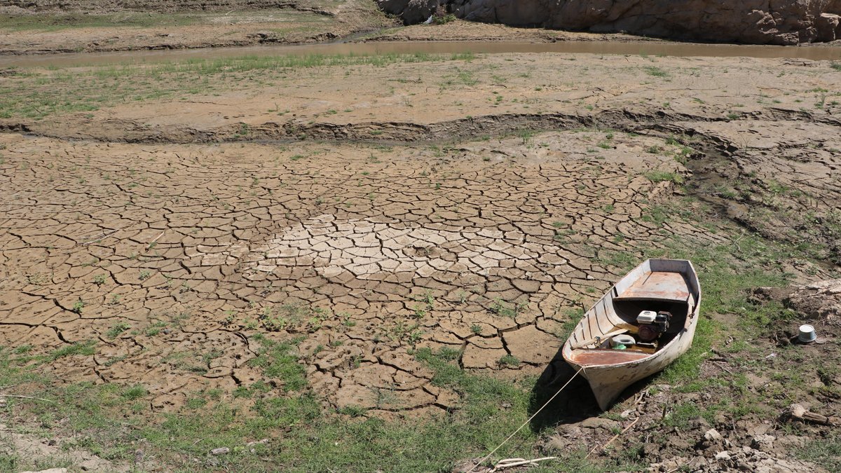 Türkiye büyük risk altında: Sulak alanların yüzde 40'ını kaybettik