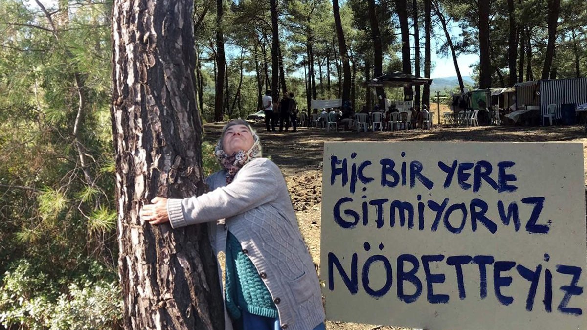 Akbelen'de direniş sürüyor: Valilikten ağaç kesileceği iddialarına yalanlama