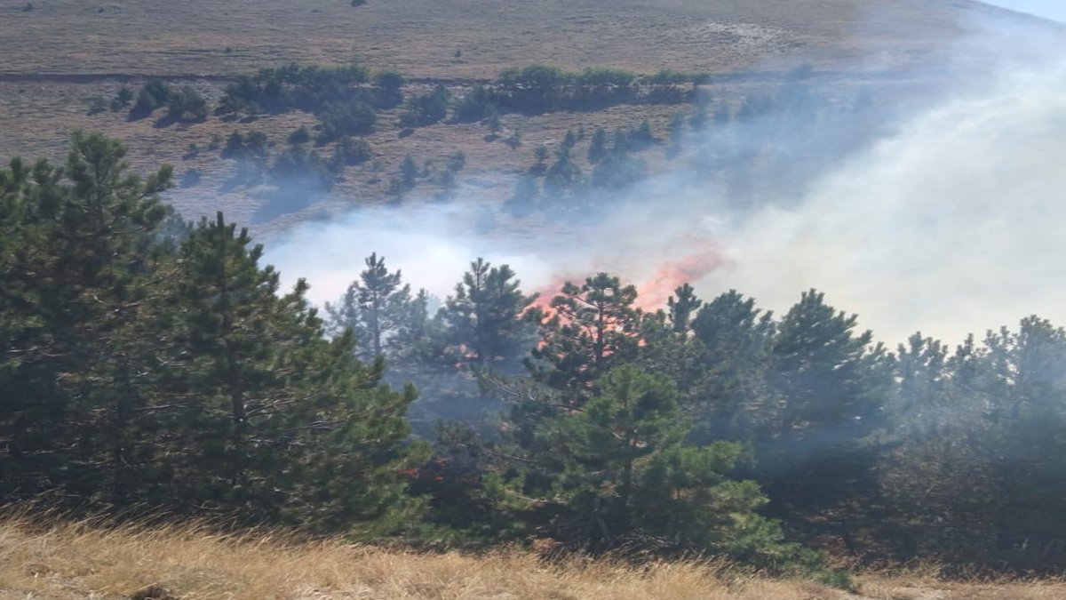 Isparta'daki orman yangını söndürüldü