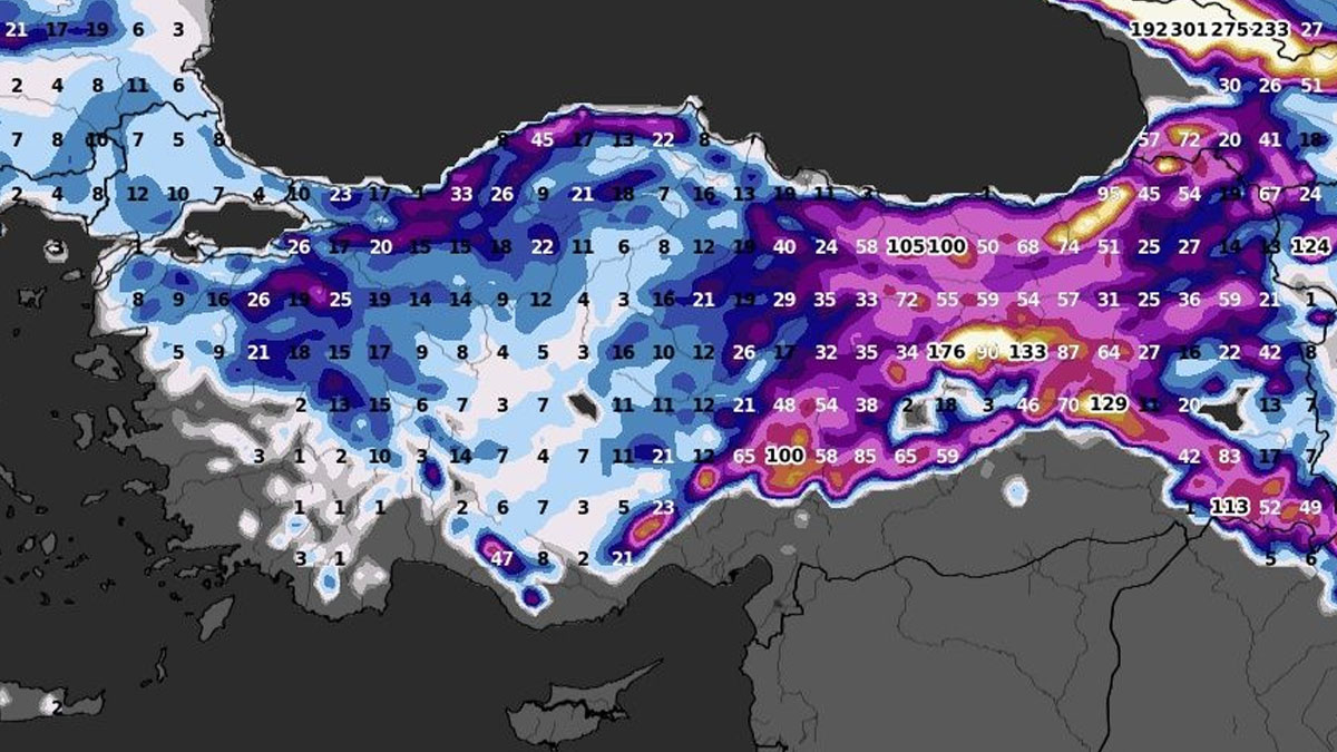 Dünyanın en ünlü meteoroloğu açıkladı! Kar 1 metreyi aşacak, yollar kapanacak, her yer bembeyaz olacak