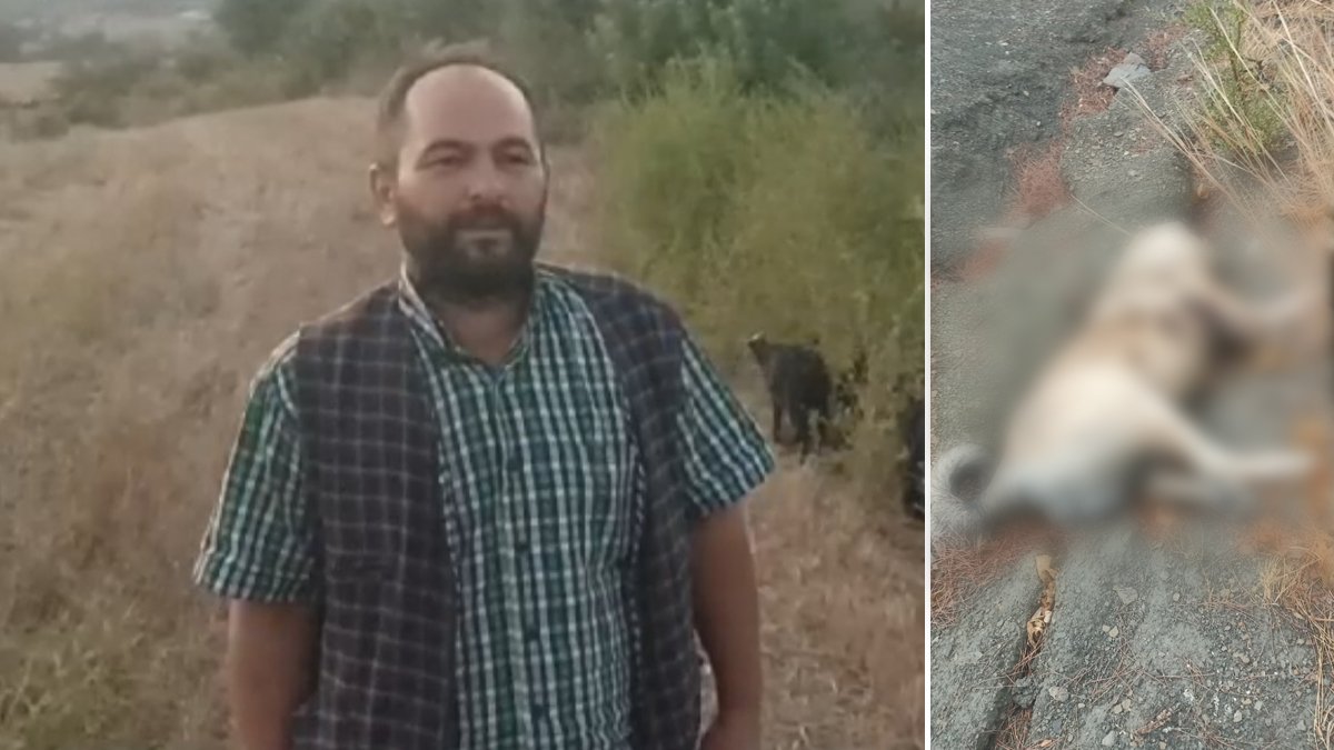 Komşusunun köpeğini 7 yerinden bıçaklayarak öldürdü: Serbest bırakıldı