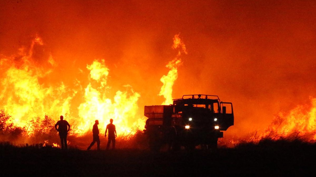 Son 8 ayda 114 orman yangını: Çanakkale’de 4 bin hektar alan kül oldu