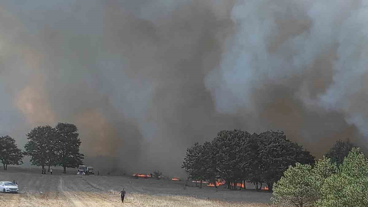 Antalya ve Tekirdağ'da korkutan yangın: Çöplükten sıçrayan yangın ormanı sardı
