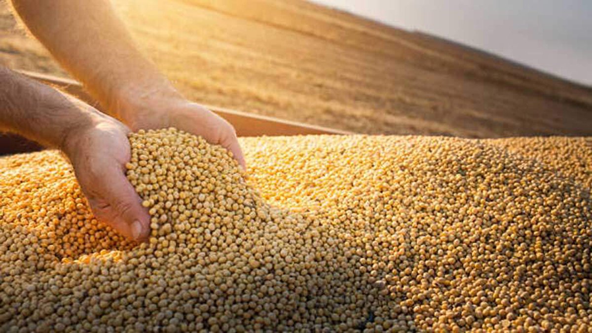 Dünyanın en iyi D vitamini kaynağı! Girdiği yerde ne hastalık kalıyor ne ağrı, ömrü 10 yıl uzatıyor