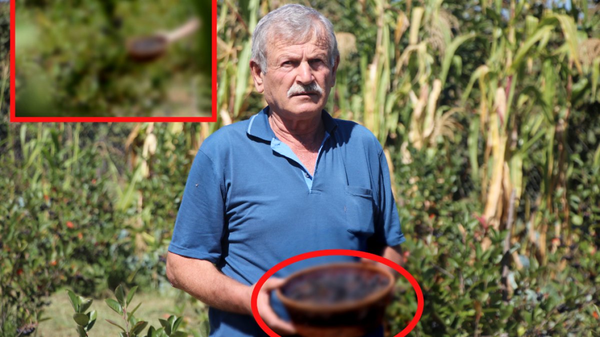 Fındık, çay, zeytine rakip geldi! Dünyanın her yerinden talep yağıyor... Eşi için ekmişti şimdi paraya para demiyor