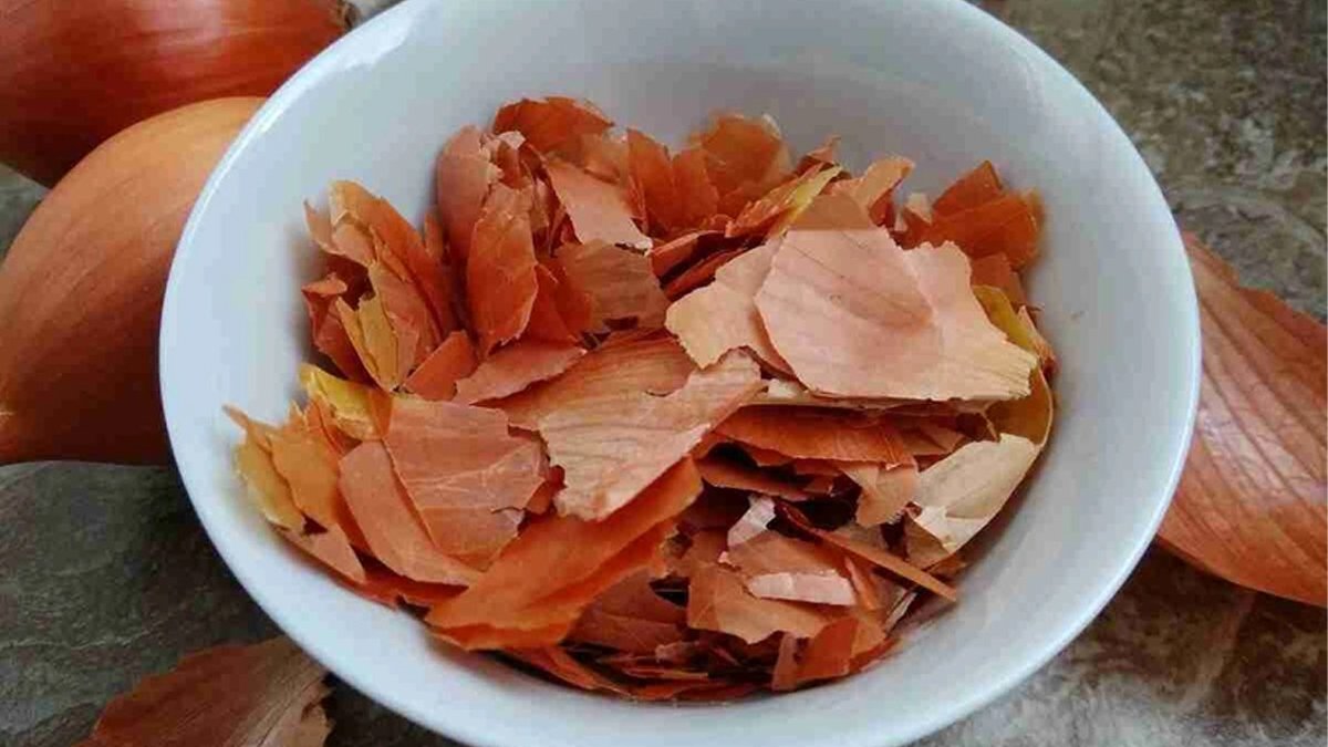 Soğan kabuklarını atanlar şimdi pişman! Ihlamurdan bile faydalı, bunu yapanın evine hastalık uğramıyor