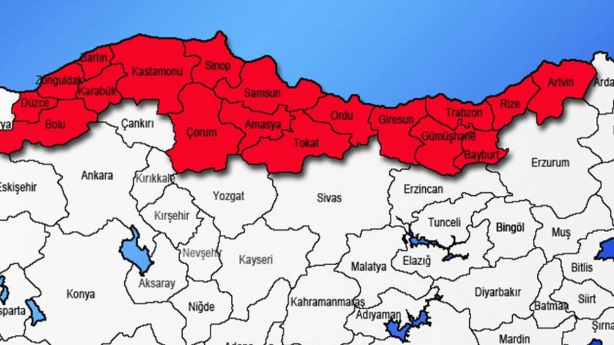 Bolu, Kastamonu, Çorum ve Karabük'te yaşayanlar dikkat! Topraktan fırlayıp saldırmaya başladılar... Önüne geleni sokup geçiyor!