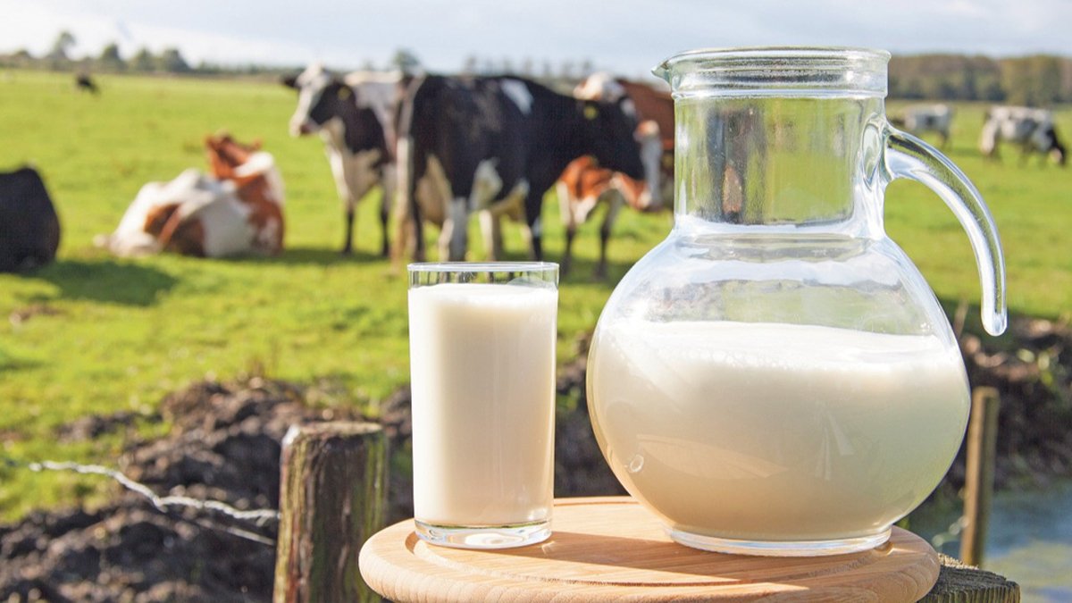 Üreten kazanamıyor vatandaş pahalıya alıyor: Süt üreticide 11 TL, markette 40 TL