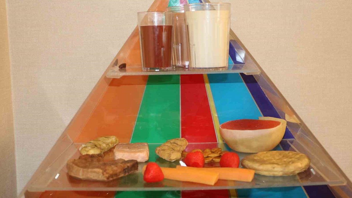 'Okula giden çocukların doğru beslenmesi gerekiyor'