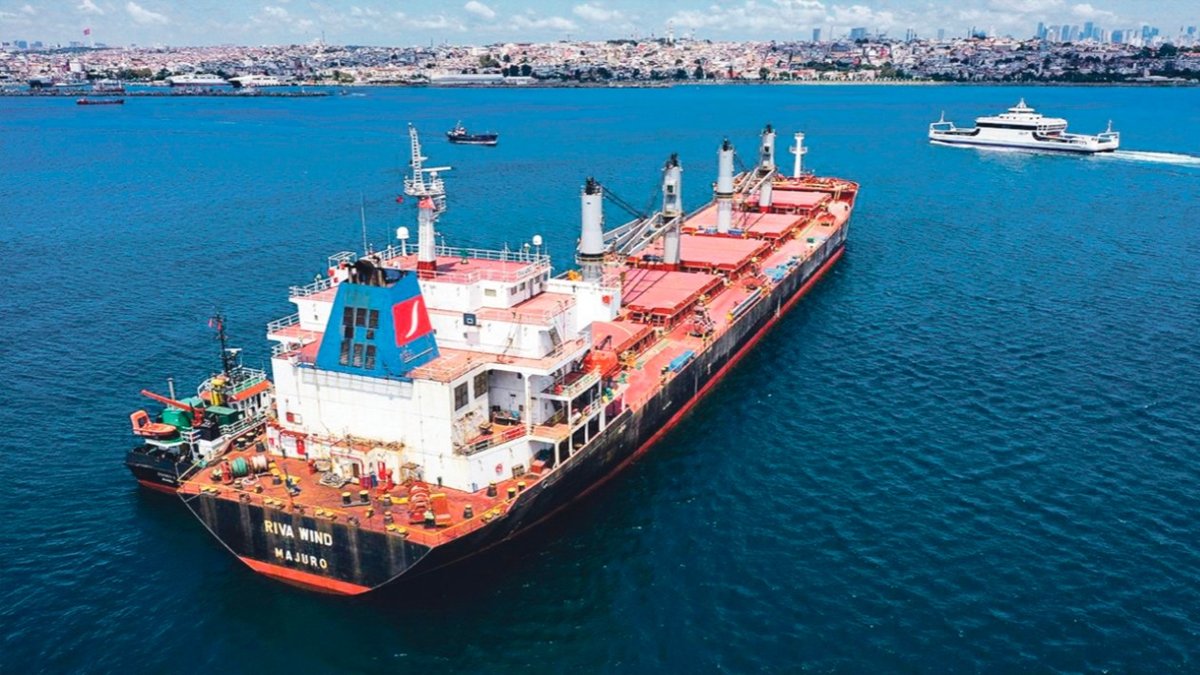 Tahıl ithalatı yasağı yargıya taşınıyor: Ukrayna'dan AB ülkelerine dava