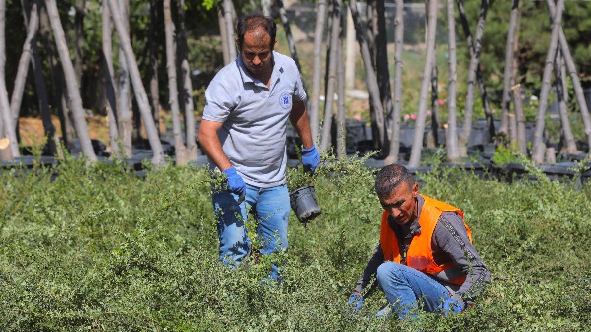 Serada kışa hazırlık