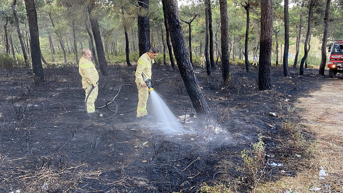 İstanbul'da orman yangını