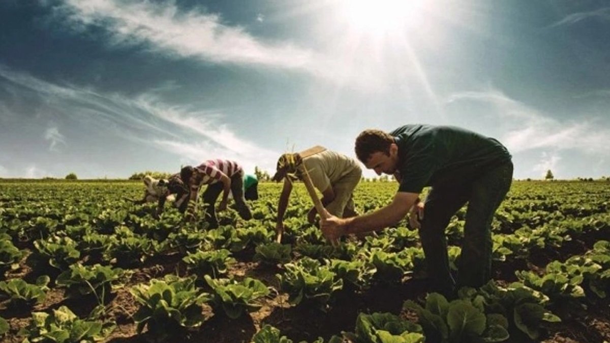 Afyonkarahisar Tarım ve Orman Müdürlüğü destek ödeme listelerini askıya çıkardı