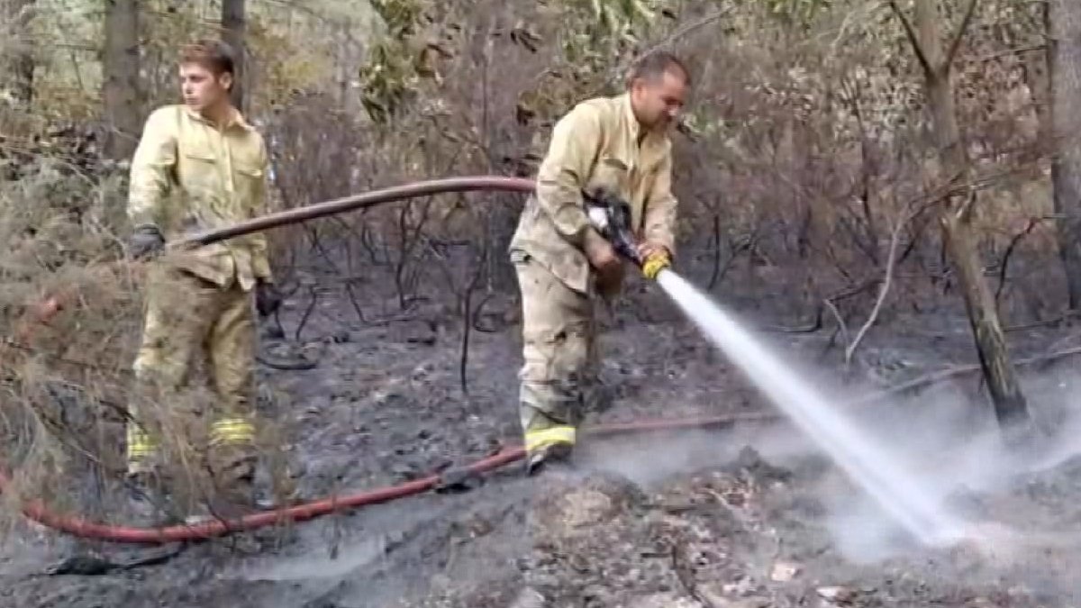 İstanbul'daki Aydos Ormanı'nda yangın: Çıkış nedeni araştırılıyor