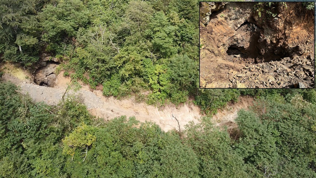 Kaçak defineciler bu kez ormana dadandı: Trabzon'da pes dedirten olay