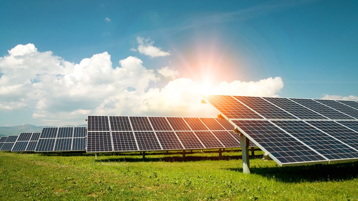 Anavarza Bal, 501 kilowatt kapasiteli güneş enerjisi santralı kurdu