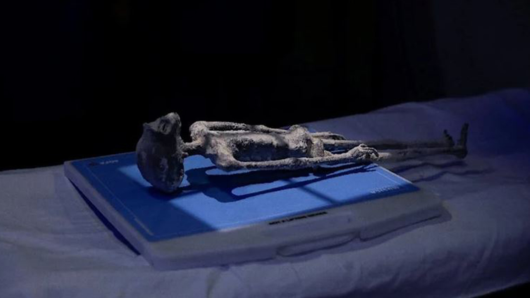 'Uzaylı' denilen cesetlerin bilmecesi devam ediyor: Öldüğünde hamileydi