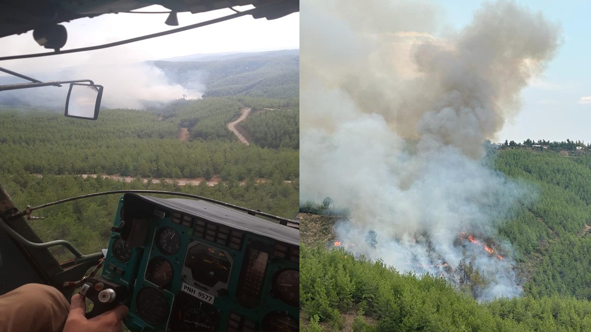 Adana'daki orman yangını kontrol altına alındı: Soğutma çalışmaları devam ediyor