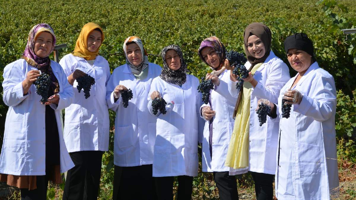 Ankara'nın girişimci kadınları üretiyor tüm dünyaya satılıyor! Bir değil iki değil tonlarca sipariş: Çöpü bile para getiriyor