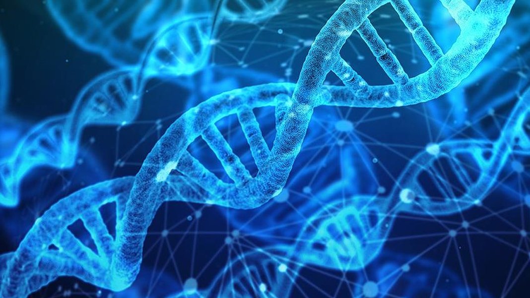 Google artık DNA'yı da araştıracak: Hastalığa yol açan genleri tanımladı