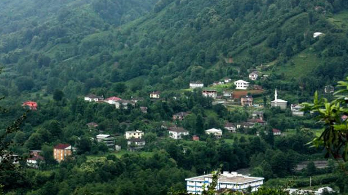 Sahibini ısırdıktan sonra ölen köpeğe kuduz teşhisi: 3 köy karantinaya alındı