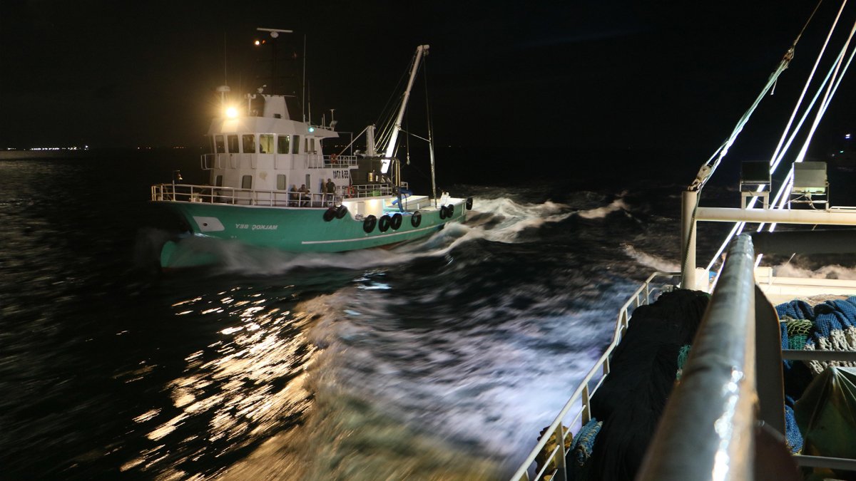 İklim değişikliği balık avını da vurdu: Önceki yıllara göre balık boyları küçük, et verimi düşük