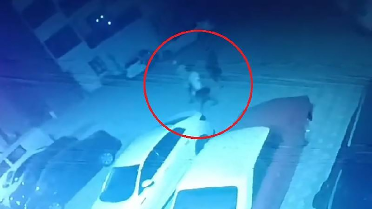 Mersin'de 4 gündür kayıp kız çocuğu Şanlıurfa'da bulundu: Yanındaki kişi polisi görünce kaçtı