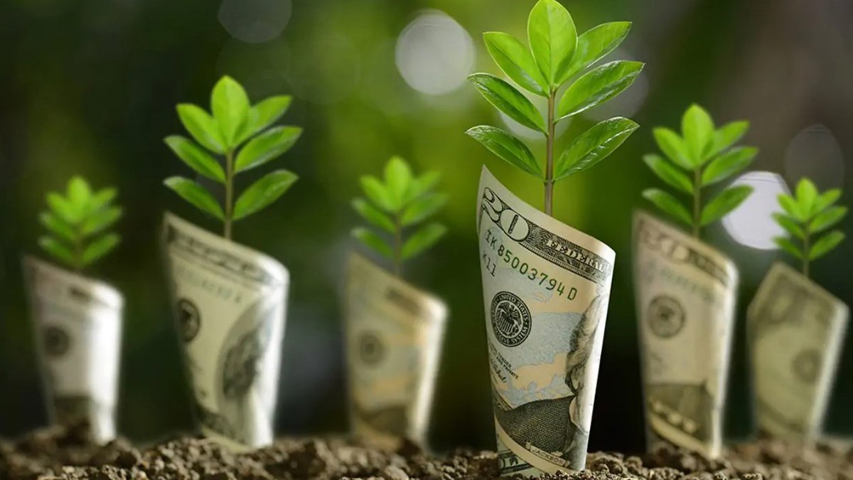 Çevreci reklamlara yeni düzenleme: AB 'yeşil göz boyamayı' yasaklıyor