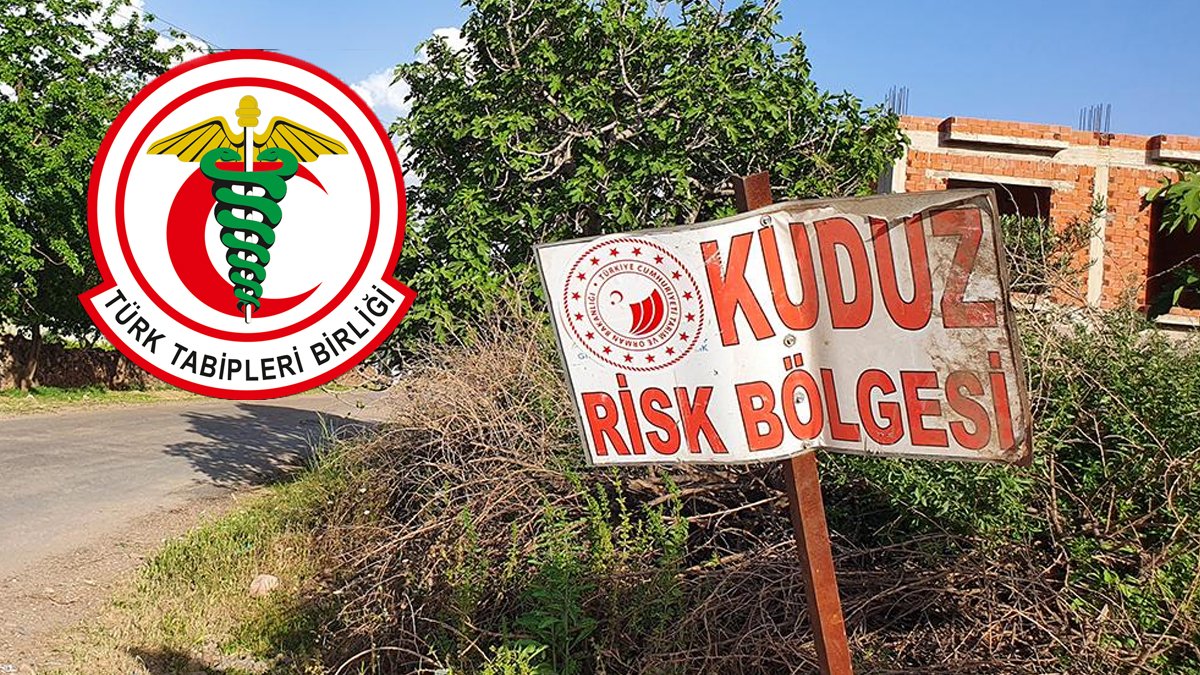 Türk Tabipler Birliği'nden 'kuduz' tepkisi: Aşıdan 138 yıl sonra ölümler kabul edilemez